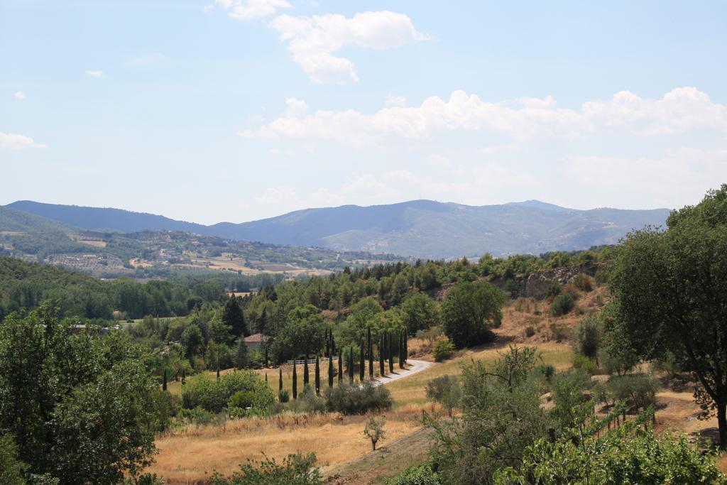 Un Petit Paradis Castiglione Della Valle Luaran gambar